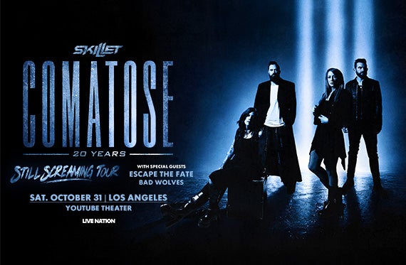 More Info for Skillet